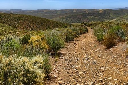 綠色環保創意名字大全