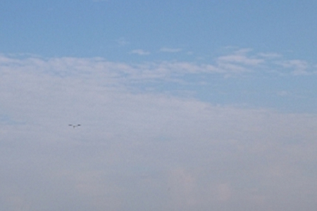 ������İ�ҹ�˾����