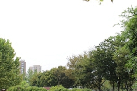 ��Ξ������˾����