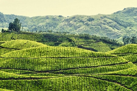 Ԣ��ǰ�̺õĹ�˾����