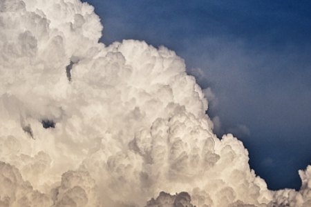 ����Ԣ��õĹ�˾����