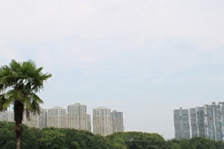 ������˾��ʲô���ֺ�