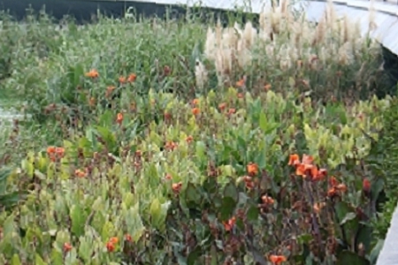 Ԣ��õ��մɹ�˾����