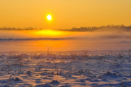 ��������� �҇��H���Ĺ�˾��