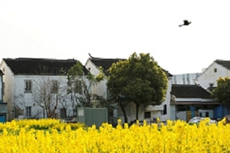 ���׵�������ȫ�r��