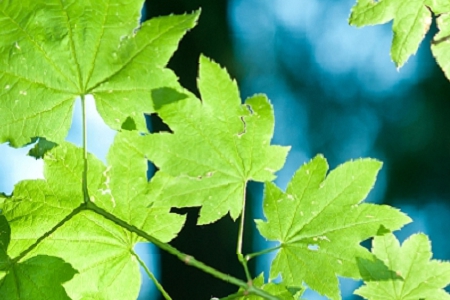 Ԣ��l(f��)ؔ(c��i)������Ĺ�˾���Q