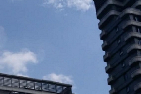 �t���f����ȡ����ȫ��