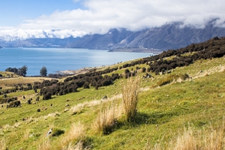 ���̽�����˾ȡ������