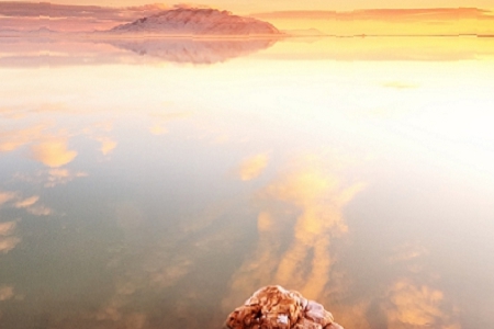 �o��I(y��)����(g��)�� Ԣ��õ�����